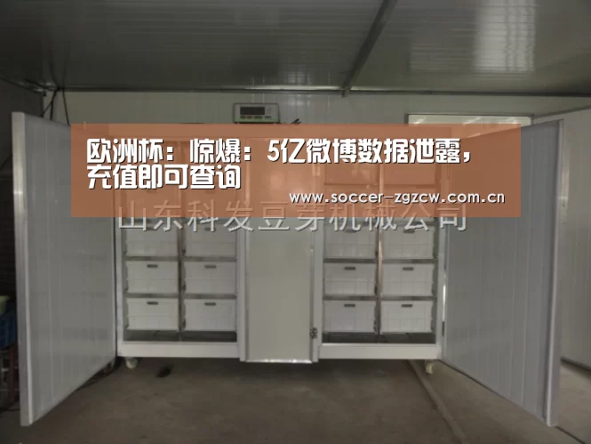 欧洲杯:惊爆:5亿微博数据泄露,充值即可查询(图1) 欧洲杯
