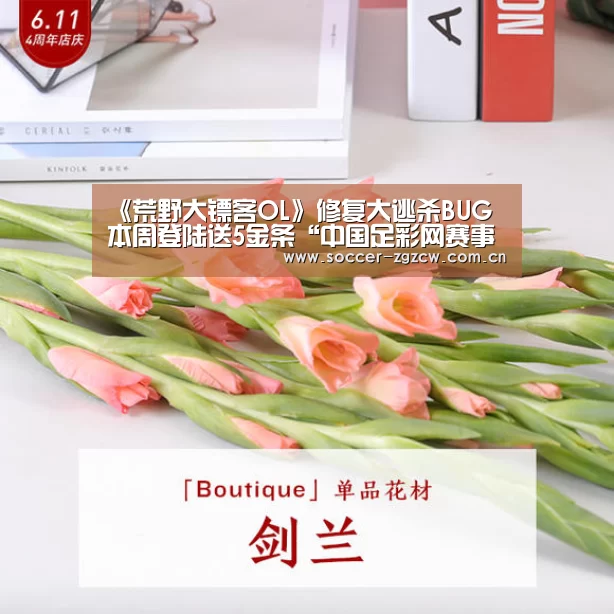 《荒野大镖客OL》修复大逃杀BUG 本周登陆送5金条“中国足彩网赛事中心”(图3) 欧洲杯