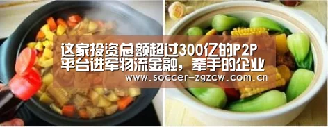 这家投资总额超过300亿的P2P平台进军物流金融,牵手的企业竟是它!...:五大联赛(图2) 世界杯
