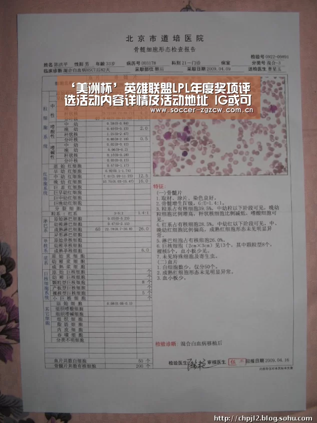 ‘美洲杯’英雄联盟LPL年度奖项评选活动内容详情及活动地址 IG或可包揽所有奖项(图1) 世界杯