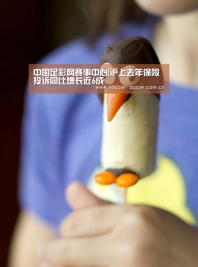 中国足彩网赛事中心|沪上去年保险投诉同比增长近6成(图1) 足球联赛