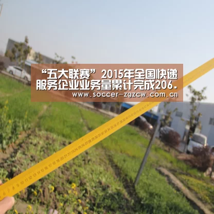 “五大联赛”2015年全国快递服务企业业务量累计完成206.7亿件(图3) 足球联赛
